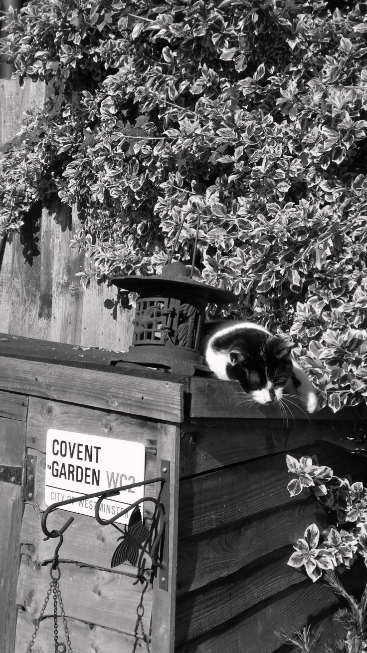 IMG_20170425_091139920