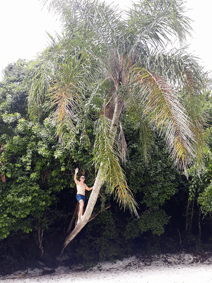 20190410_121021-animation